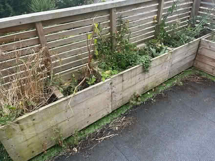 Photo of free Planter boxes (Lewes BN7) #2
