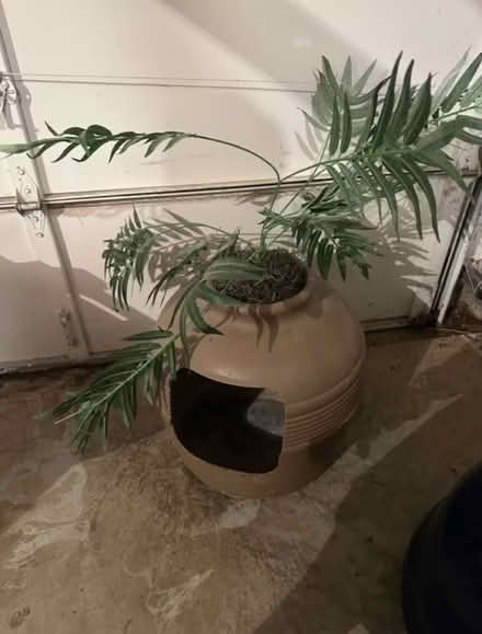 Photo of free Litter box (Germantown) #1