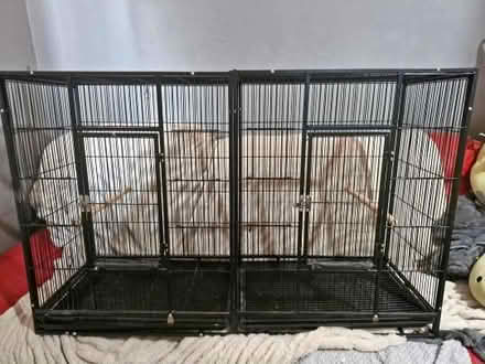 Photo of Flight cage (Churchdown) #1