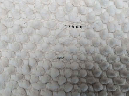 Photo of free Bath mat (Ruddington NG11) #2