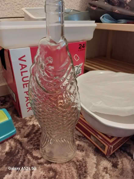 Photo of free Glass Fish (Moseley Green WV10) #1