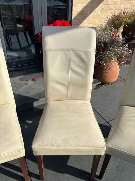 Photo of free 6 x Cream Leather Chairs (Billericay, CM12) #3