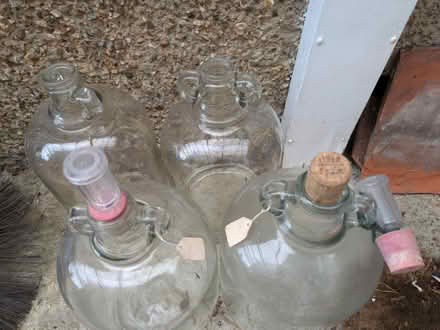 Photo of free Glass demijohns (4) (Guildford GU2) #3