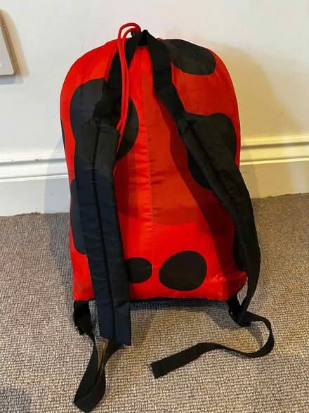 Photo of free Kids ladybird sleeping bag & pack (Hampton TW12) #3