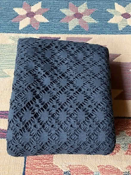Photo of free black spider web lace fabric (south sunnyvale) #4