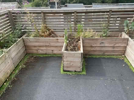 Photo of free Planter boxes (Lewes BN7) #1
