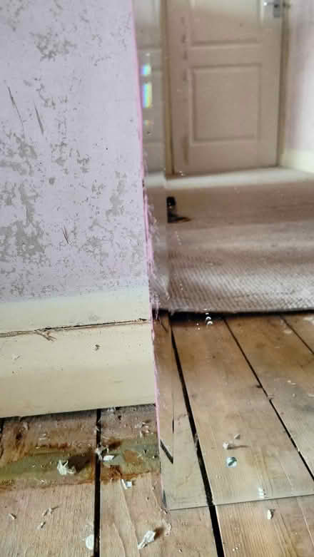 Photo of free Mirror (Stockwood, Bristol) #3