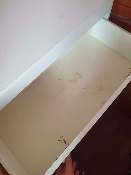 Photo of free Chest of drawers (West Cliff BH2) #2