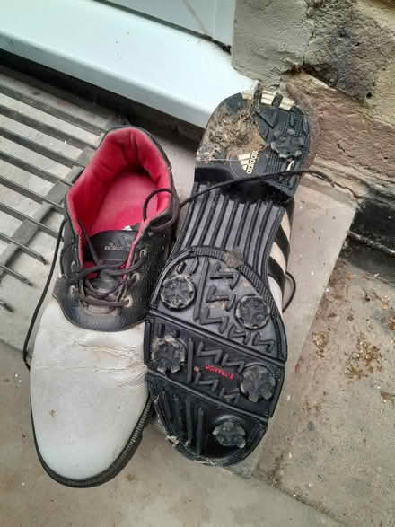 Photo of free Men's golf shoes 9.5 (Horsham) #1