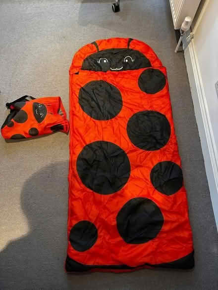 Photo of free Kids ladybird sleeping bag & pack (Hampton TW12) #1