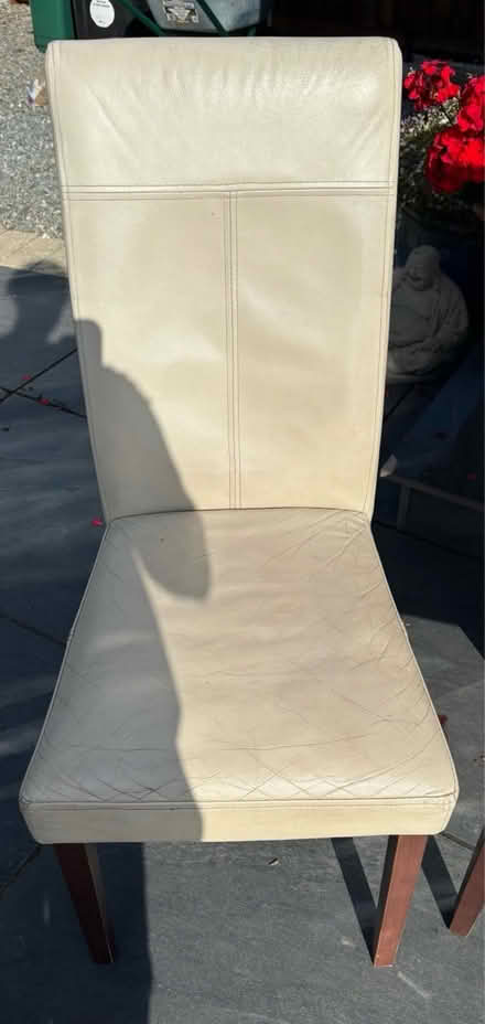 Photo of free 6 x Cream Leather Chairs (Billericay, CM12) #4