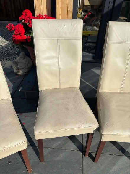 Photo of free 6 x Cream Leather Chairs (Billericay, CM12) #2