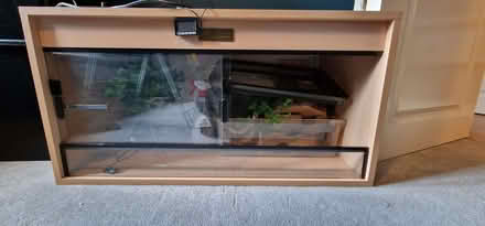 Photo of free Vivarium (Tooting SW17) #2