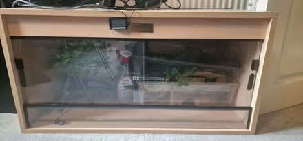 Photo of free Vivarium (Tooting SW17) #1