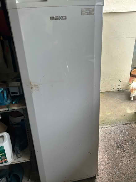 Photo of free Larder fridge and chest freezer (Castlebar) #2