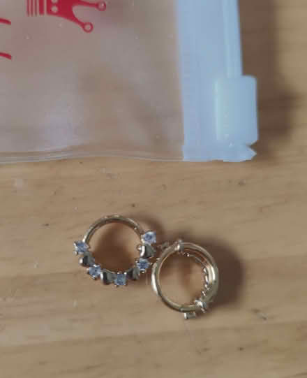 Photo of free Earrings (Queenstown FY1) #2