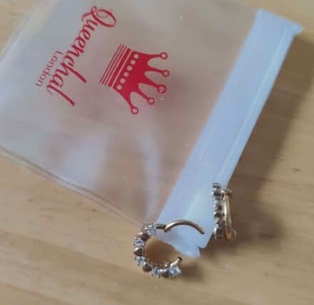 Photo of free Earrings (Queenstown FY1) #1