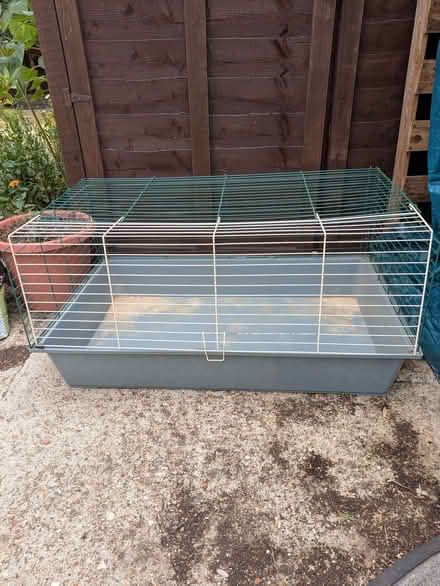 Photo of free Indoor Rabbit / Guinea Pig Cage (Church RG2) #1