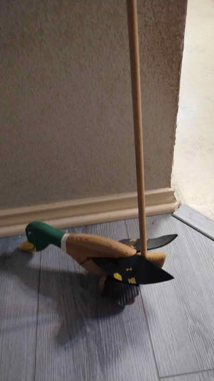 Photo of free walking mallard (Allen) #1