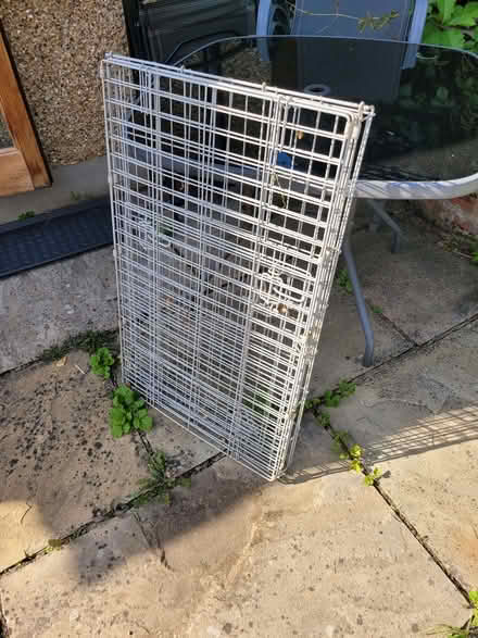 Photo of free dog cage (Chessington KT9) #1