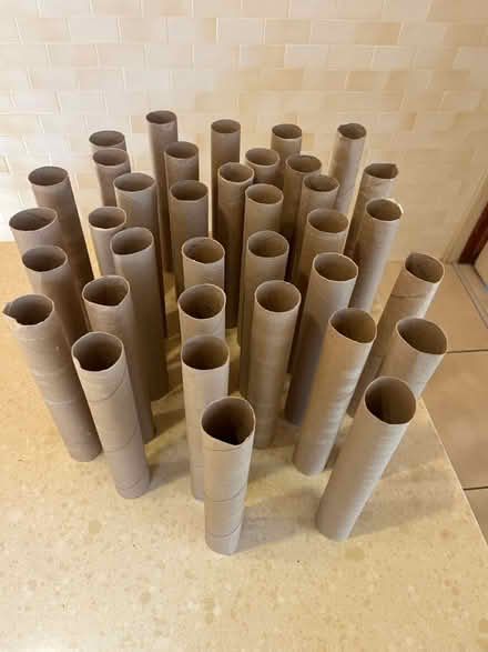 Photo of free 36 Cardboard,paper towel rolls (St. Louis-Southampton) #1