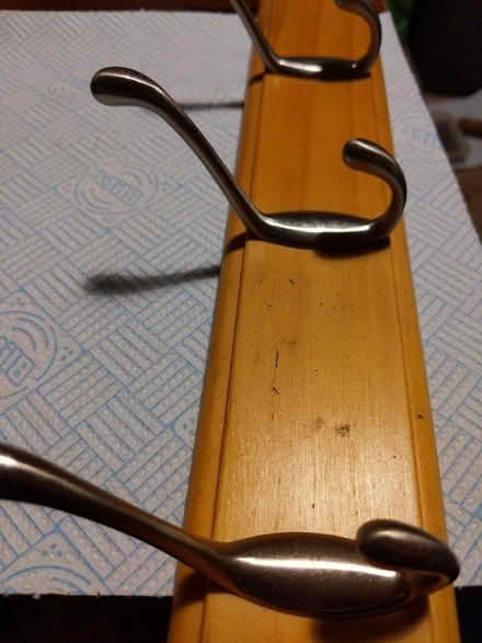 Photo of free Four hooks on wood (Freehold LA1) #2