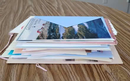 Photo of free Holiday cards (Palm Harbor) #2