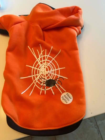 Photo of free Small dog Halloween costume (New Rochelle) #2