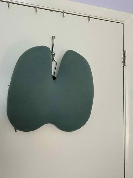 Photo of free Lumbar Support pillow (Owings Mills,MD) #1