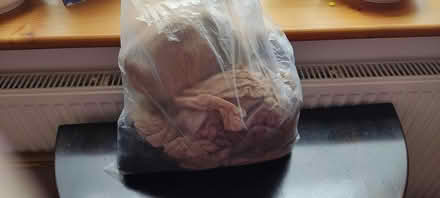 Photo of free Bag of clean tights (Kendal LA9) #1