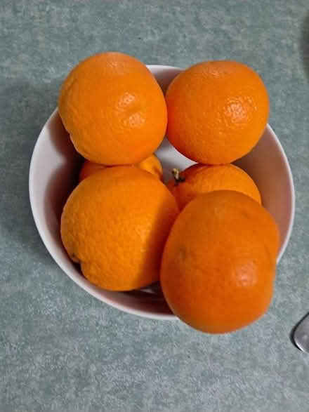 Photo of mandarin and Oranges (Albury wodonga) #1
