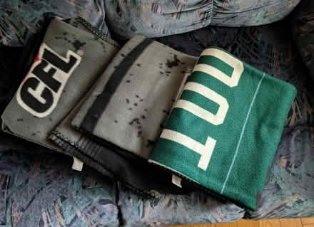 Photo of free throw blankets (near 2820 Springland Dr,) #1
