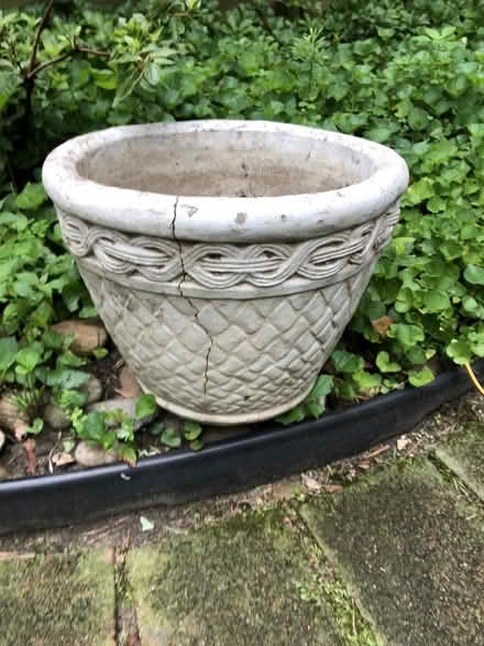 Photo of free Concrete Planter (Medford) #1