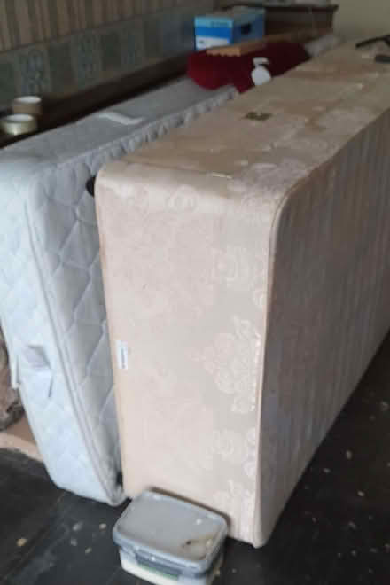 Photo of free Single divan bed with mattress (Henwick WR2) #4