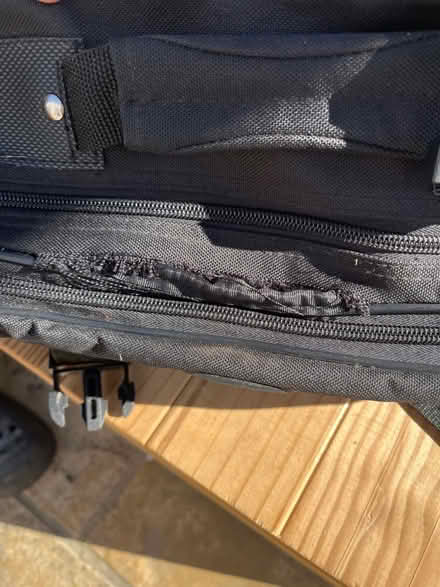 Photo of free Pannier bags (Kingsway) #3