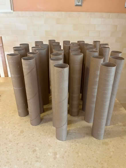 Photo of free 36 Cardboard,paper towel rolls (St. Louis-Southampton) #2