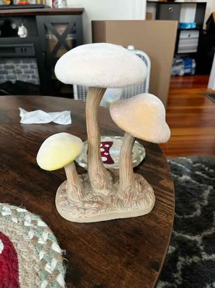 Photo of free Mushroom decor (Medford - Valley St) #1