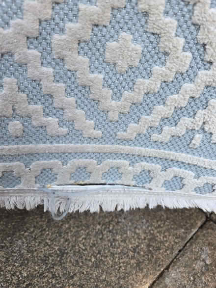 Photo of free Indoor/Outdoor Rug (NW10) #3