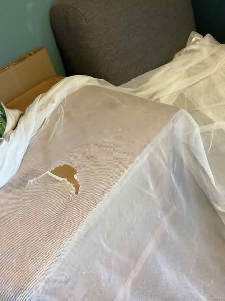 Photo of free Net curtains (Hurdsfield SK11) #3