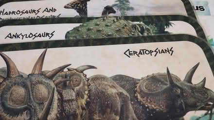 Photo of free dinosaur placemats (Allen) #1