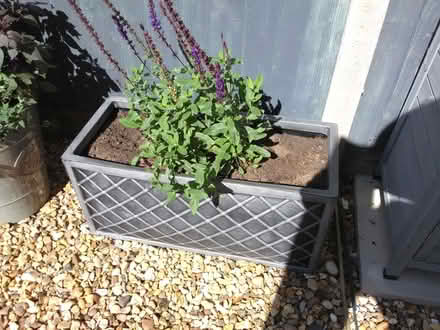 Photo of free Plastic Rectangular Long Large 70cm Lazio Trough (Heacham PE31) #1