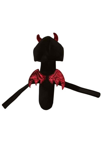 Photo of free Dogs Devil Costume (Brooklyn Storage) #1
