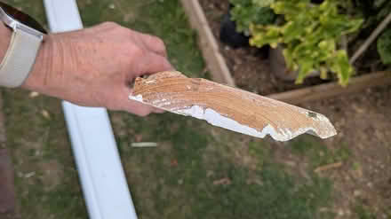 Photo of free Skirting board - second hand (Hunston, Chichester) #2