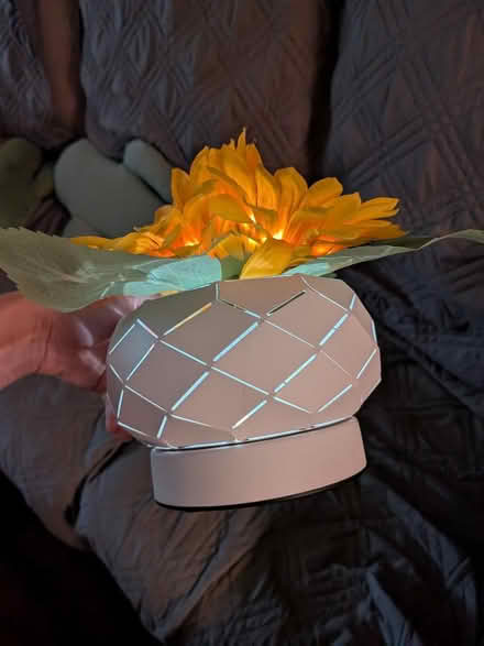 Photo of free Light up Sunflower Plant (NRG stadium) #3