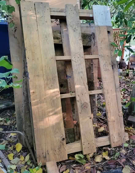 Photo of free 3 large wood pallets (West Seattle) #1