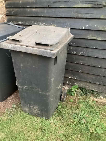 Photo of free Large Wheeled Bin (Broadclyst) #1