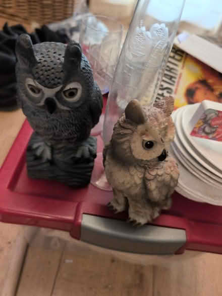 Photo of free Little Cups and Saucers (BD2) #3