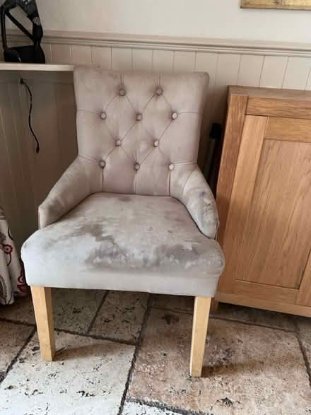 Photo of free 4 dining chair (need good clean) (Cottingley BD16) #3