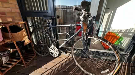 Photo of free ridgeback bicycle (kt13) #1
