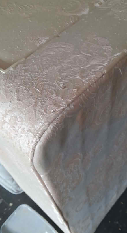 Photo of free Single divan bed with mattress (Henwick WR2) #3